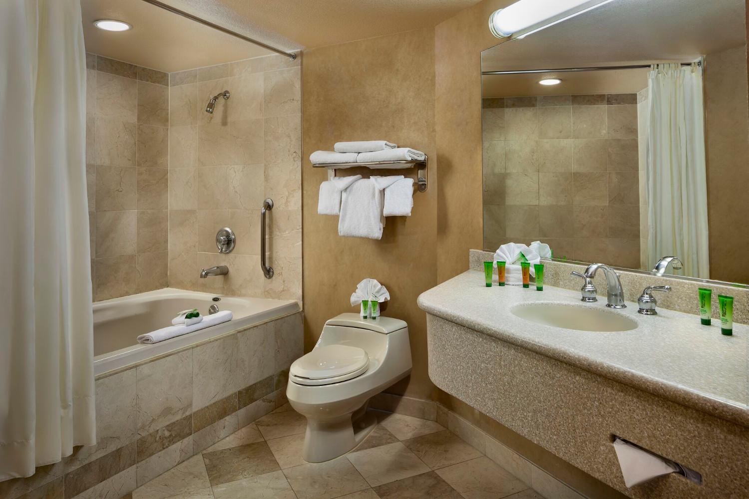 Classic Family Suite Bathroom